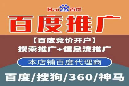 百度推广费用投入与品牌故事传播的案例分析